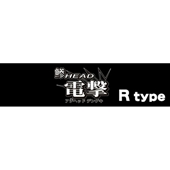 鯵ヘッド電撃Type-R:20個入漁師パック(フック#8)